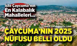 Çaycuma’nın 2025 Nüfusu Belli Oldu: En Kalabalık Mahalle Yeni Mahalle