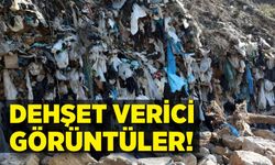 Dehşet verici görüntüler