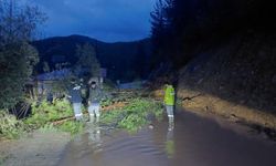 Antalya Gündoğmuş'ta dereler taştı, piknik alanları su altında kaldı