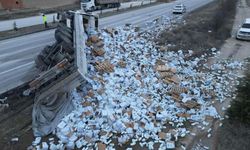 Devrilen Tırdan 25 Ton Süt Yola Saçıldı