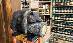 Bayılan ayı dekoru ile rekor satış