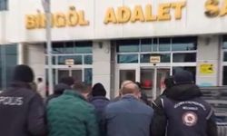 Van’dan Bingöl’e uzanan hat çökertildi: 12 göçmen yakalandı