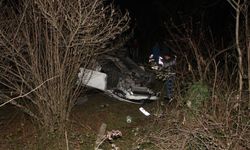 Fındık Bahçesinde Can Pazarı