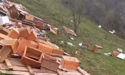 Türkeli’de fırtına arıcılığı vurdu: Kovanlar zarar gördü