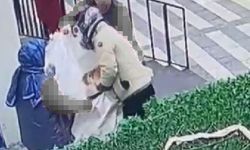 Niğde’de Gebe Kedi Çuvala Konuldu, Tepkiler Büyüyor