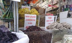 Kayseri'de geçmeyen öksürüğe aktar önerisi