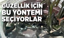 Mezbaha kanıyla besleniyor, birçok hastalığa şifa oluyorlar