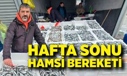 Zonguldak’ta hamsi bolluğu: Vatandaşlar balıkçılara koştu