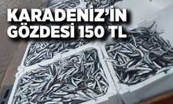 Karadeniz’in Gözdesi 150 TL