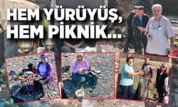 Hem yürüyüş, hem piknik