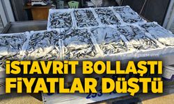 İstavrit bollaştı, fiyatlar düştü