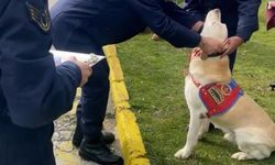 Jandarmanın “Medyum”u 10 Yıllık Görevini Tamamladı