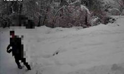 Kaçak avcı fotokapana yakalandı