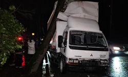 Sarıyer’de Kamyonet Yol Kenarındaki Ağaca Çarptı
