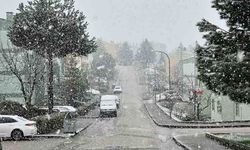 Kar yağışı etkili oldu: Hava sıfır dereceye düştü