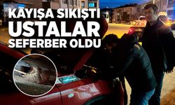 Motor Kayışına Sıkışan Kedi Kurtarıldı