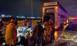 Kayseri’de Taşkın Riski: 200 Hayvan Tahliye