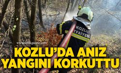 Kozlu’da anız yangını korkuttu