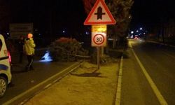 Malatya’yı fırtına vurdu: Ağaçlar kökünden söküldü