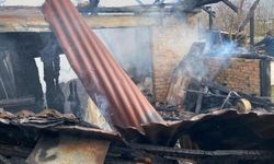 Karabük’te Müştemilat Yangını: 2 Köpek Yavrusu Telef Oldu