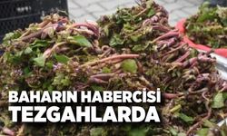 Karadeniz’in Şifa Deposu: Zılbıt Tezgâhta