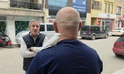 Omzundaki “Pamuk”la Sokak Sokak Geziyor