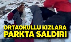 Parkta dehşet anları! Ortaokullu kızları dakikalarca dövdüler