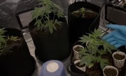 Özel Düzenekli Uyuşturucu Evine Polis Baskını