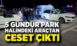 Dinlenme Tesisinde Park Halindeki Araçtan Ceset Çıktı