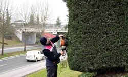 Şehir bahara hazırlanıyor