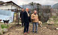 Sokak hayvanları için Bakım ve Rehabilitasyon Merkezi yapılacak