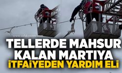 Tellerde mahsur kalan martıya itfaiyeden yardım eli
