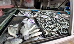 Tezgâhlarda yeni gözde balık: Hamsi yerini İstavrite bıraktı