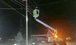 Kamyon, elektrik ve telefon hatlarına zarar verdi