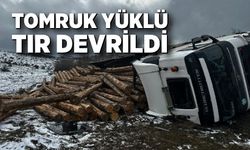 Tomruk Yüklü Tır Devrildi: 1 Yaralı