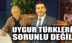 Uygur Türkleri sorunlu değil