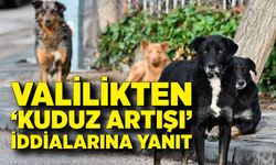 Valilikten ‘kuduz artışı’ iddialarına yanıt