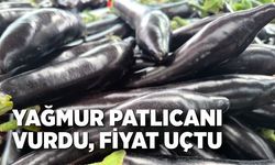 Antalya yağmuru patlıcanı vurdu, fiyat uçtu