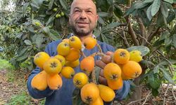 Sarı Altın Erken Geldi: Yenidünya Tezgahta