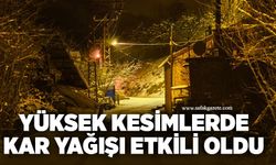 Yüksek kesimlerde kar yağışı etkili oldu