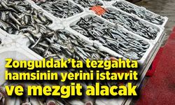 Zonguldak’ta Hamsi Yerini İstavrit ve Mezgite Bırakıyor