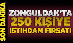 Zonguldak’ta 250 kişiye istihdam fırsatı