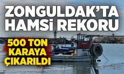 Zonguldak’ta hamsi rekoru: 500 ton karaya çıkarıldı