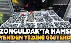 Zonguldak’ta hamsi yeniden yüzünü gösterdi