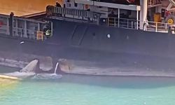 Denizi kirleten gemiye 13 milyon TL ceza kesildi, gemi rıhtıma bağlandı