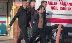 Araç Faresi Yakayı Ele Verdi: Kameradan Kaçamadı