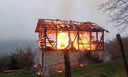 Ardiye alev alev yandı