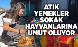 Atık yemekler sokak hayvanlarına umut oluyor