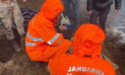 Bolu'da ava giden ve kaybolan vatandaş baygın bulundu