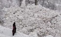 Yüksekova’da aynı bölgede ikinci çığ